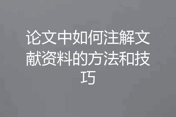 论文中如何注解文献资料的方法和技巧