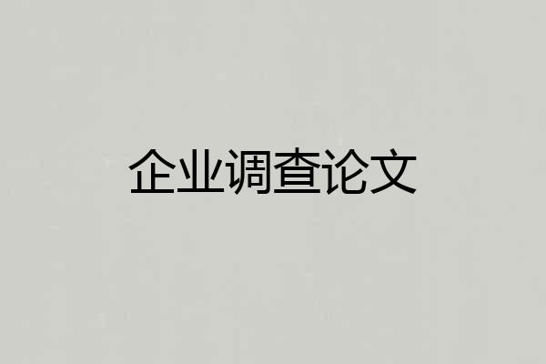 企业调查论文