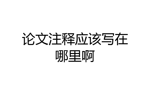 论文注释应该写在哪里啊