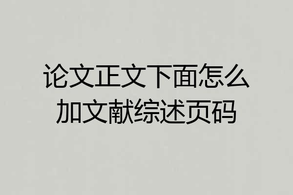 论文正文下面怎么加文献综述页码
