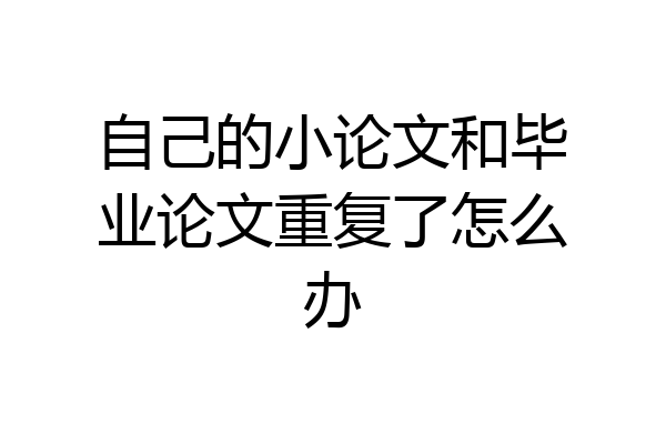 自己的小论文和毕业论文重复了怎么办
