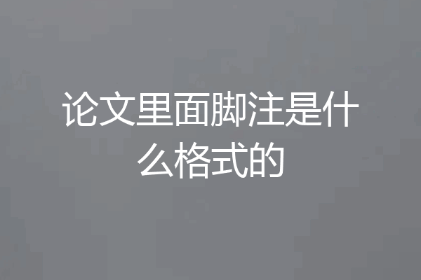 论文里面脚注是什么格式的