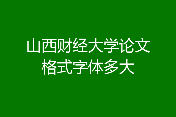 山西财经大学论文格式字体多大
