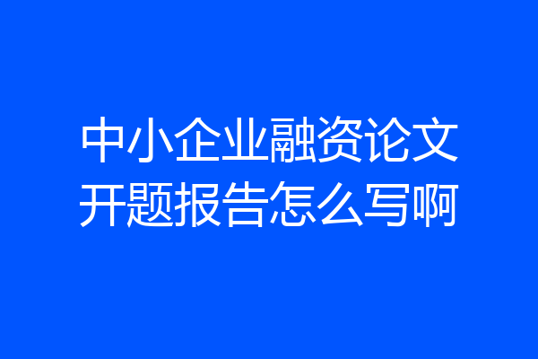 中小企业融资论文开题报告怎么写啊