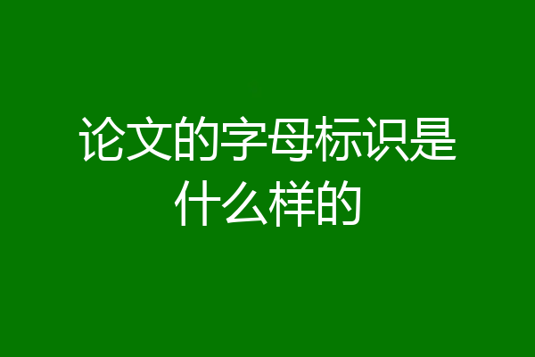 论文的字母标识是什么样的