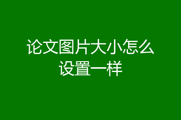 论文图片大小怎么设置一样