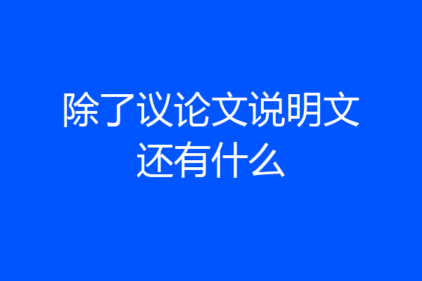 除了议论文说明文还有什么
