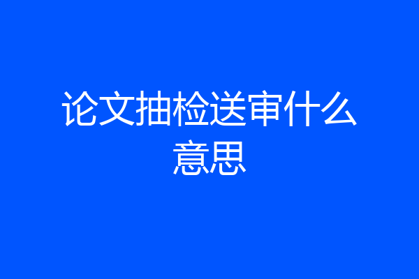 论文抽检送审什么意思