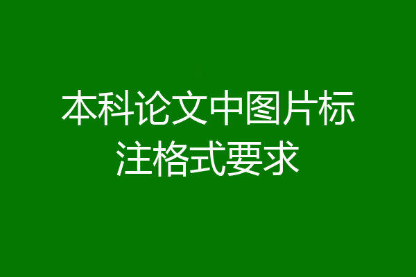 本科论文中图片标注格式要求
