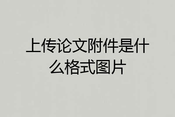 上传论文附件是什么格式图片