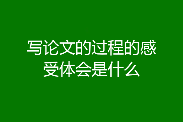 写论文的过程的感受体会是什么