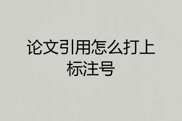 论文引用怎么打上标注号