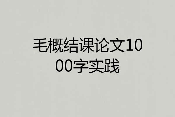 毛概结课论文1000字实践