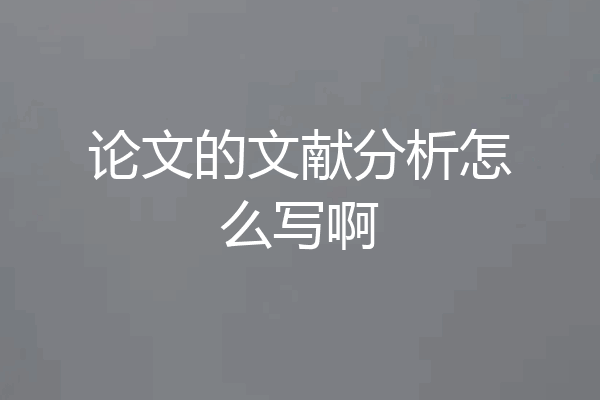 论文的文献分析怎么写啊