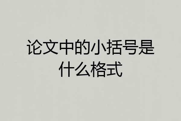 论文中的小括号是什么格式