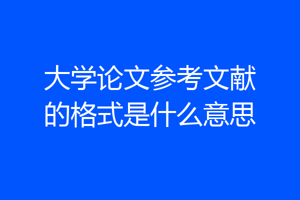 大学论文参考文献的格式是什么意思