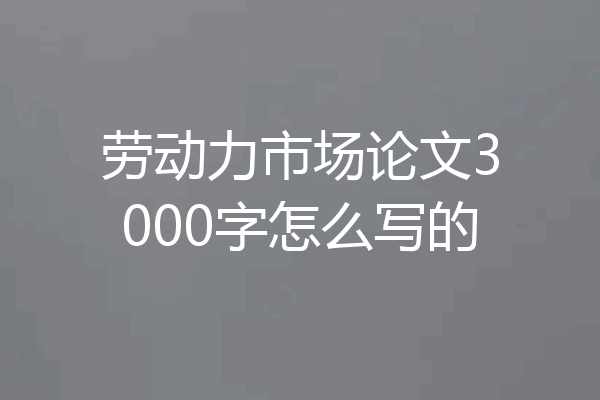 劳动力市场论文3000字怎么写的