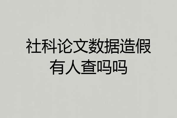 社科论文数据造假有人查吗吗