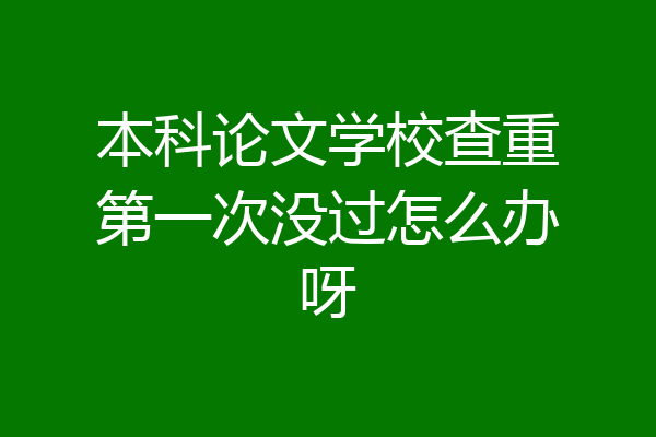 本科论文学校查重第一次没过怎么办呀