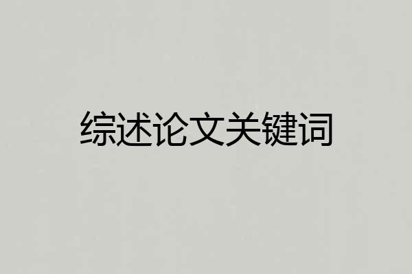 综述论文关键词