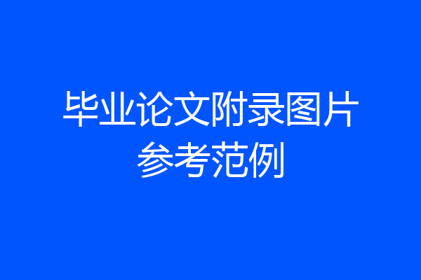 毕业论文附录图片参考范例
