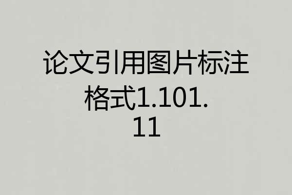 论文引用图片标注格式1.101.11