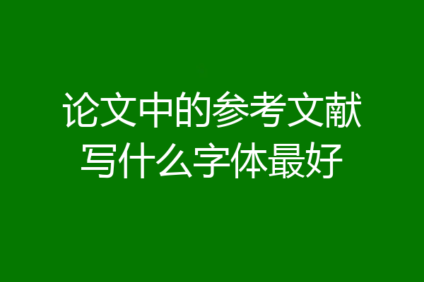 论文中的参考文献写什么字体最好