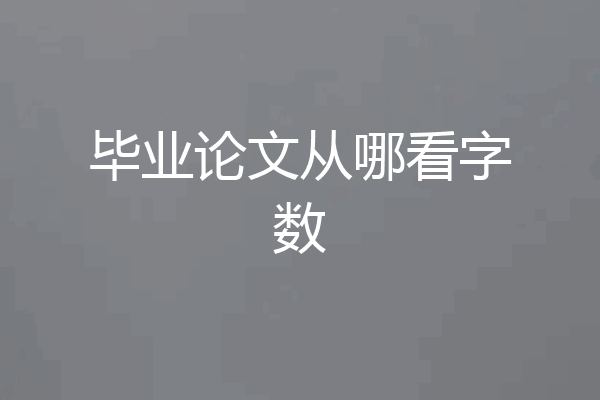 毕业论文从哪看字数