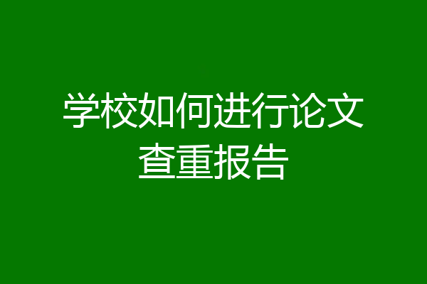学校如何进行论文查重报告