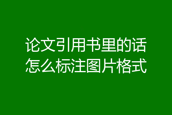 论文引用书里的话怎么标注图片格式