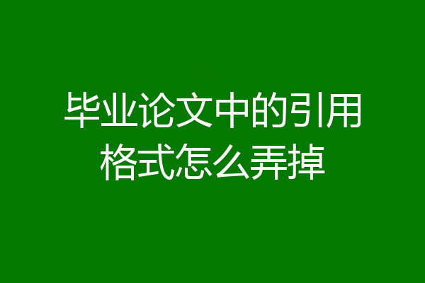 毕业论文中的引用格式怎么弄掉
