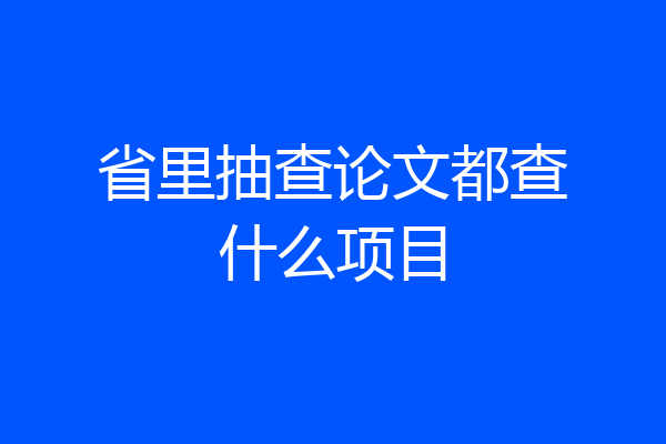省里抽查论文都查什么项目