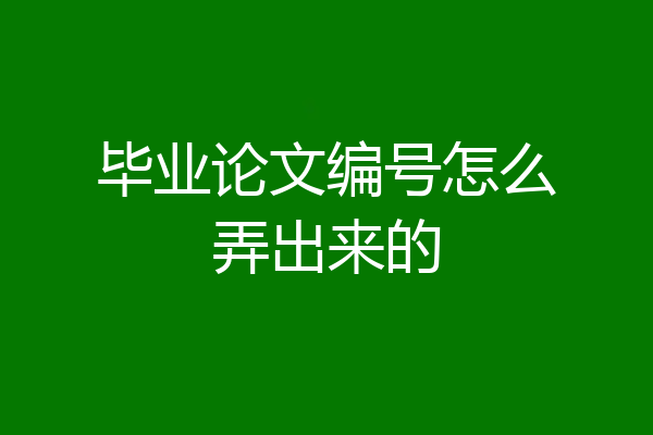 毕业论文编号怎么弄出来的