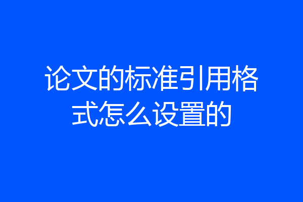 论文的标准引用格式怎么设置的