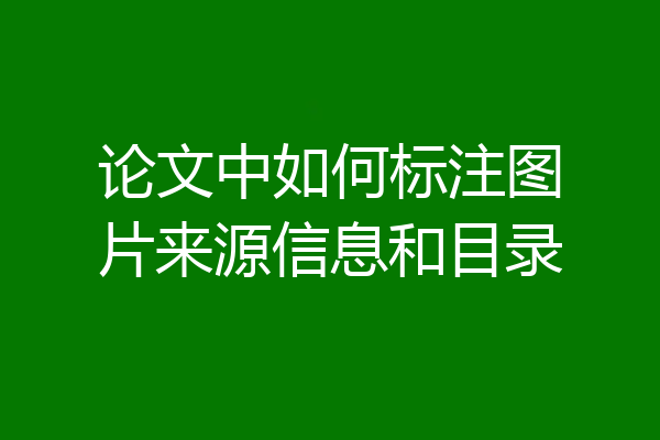 论文中如何标注图片来源信息和目录