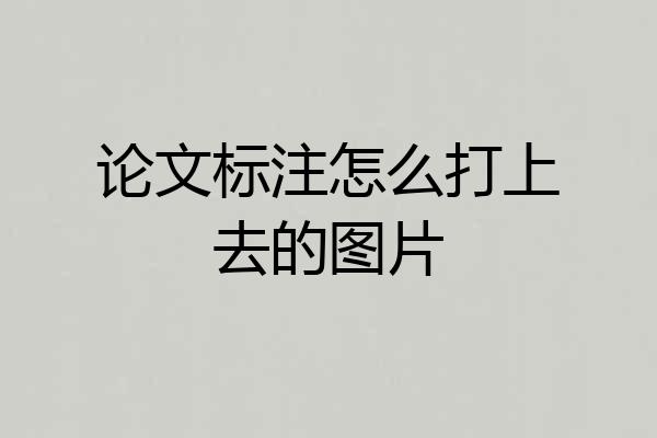 论文标注怎么打上去的图片
