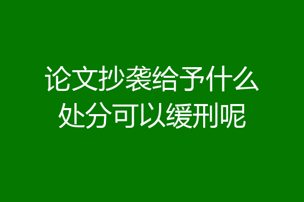 论文抄袭给予什么处分可以缓刑呢