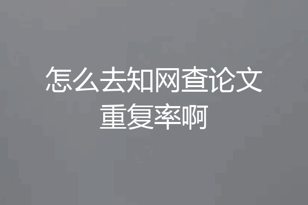 怎么去知网查论文重复率啊