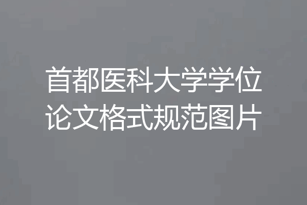 首都医科大学学位论文格式规范图片