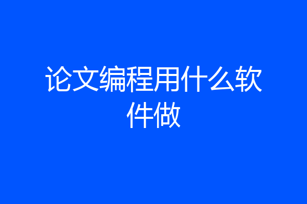 论文编程用什么软件做