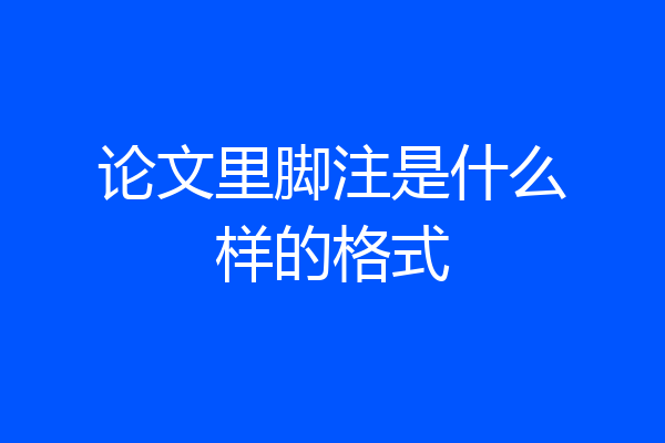 论文里脚注是什么样的格式