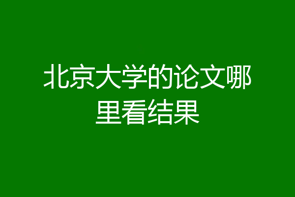 北京大学的论文哪里看结果