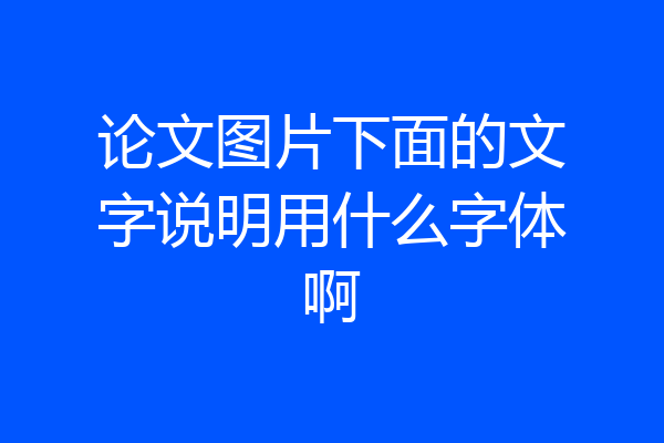 论文图片下面的文字说明用什么字体啊