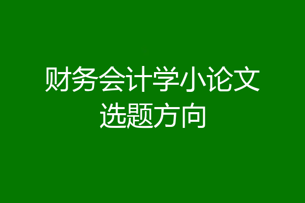 财务会计学小论文选题方向