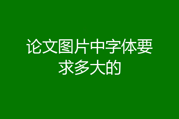 论文图片中字体要求多大的