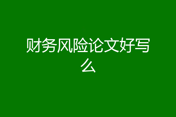 财务风险论文好写么