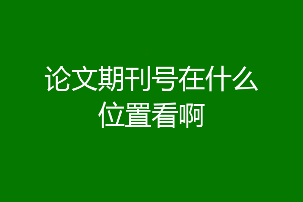 论文期刊号在什么位置看啊