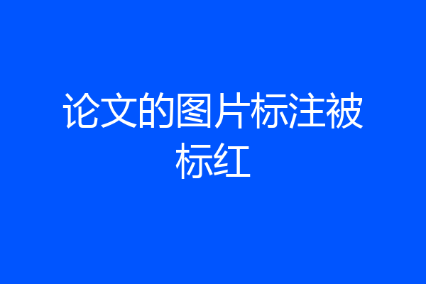 论文的图片标注被标红