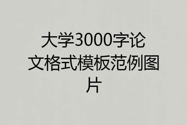 大学3000字论文格式模板范例图片