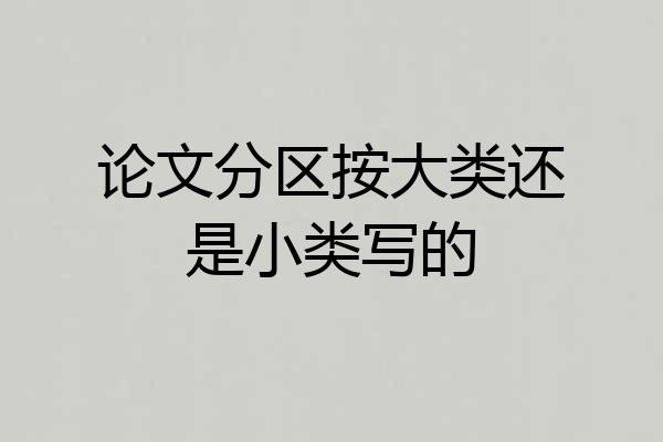 论文分区按大类还是小类写的